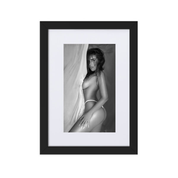 Son Vida - Image 2