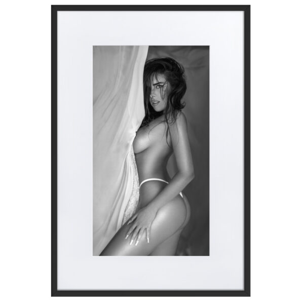 Son Vida - Image 4