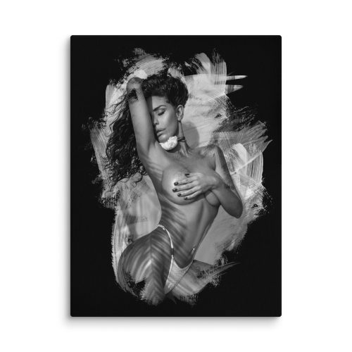 canvas-in-18x24-wall-677abe998c230.jpg