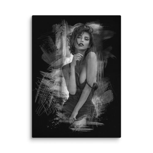 canvas-in-40x55-wall-66803517d285f.jpg